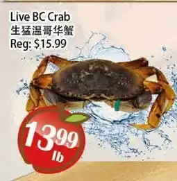 Food Depot Supermarket Live BC Crab offer
