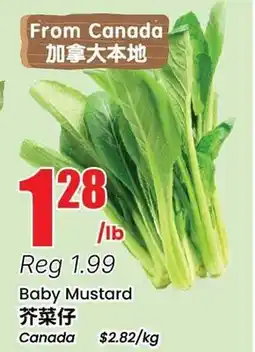 Terra Foodmart Baby Mustard offer