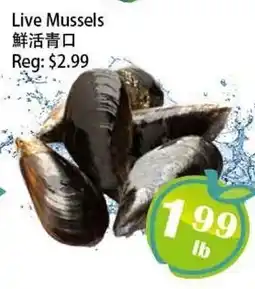 Food Depot Supermarket Live Mussels offer