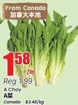 Terra Foodmart A Choy offer