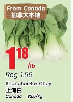 Terra Foodmart Shanghai Bok Choy offer