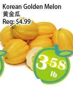 Food Depot Supermarket Korean Golden Melon offer