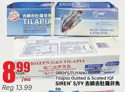 Terra Foodmart SIREN'S FROZEN G&S TILAPIA offer