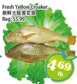 Food Depot Supermarket Fresh Yellow Croaker offer