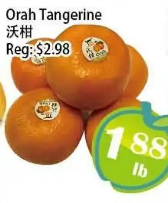 Food Depot Supermarket Orah Tangerine offer