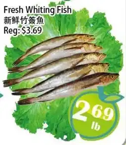 Food Depot Supermarket Fresh Whiting Fish offer