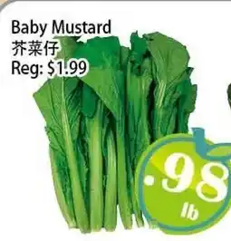 Food Depot Supermarket Baby Mustard offer