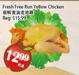 Food Depot Supermarket Fresh Free Run Yellow Chicken offer