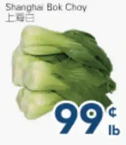 Oceans Fresh Food Market Shanghai Bok Choy offer