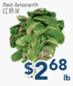 Oceans Fresh Food Market Red Amaranth offer