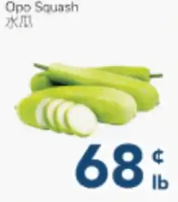 Oceans Fresh Food Market Opo Squash offer