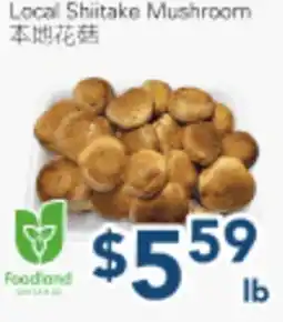 Oceans Fresh Food Market Local Shiitake Mushroom offer