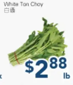 Oceans Fresh Food Market White Ton Choy offer