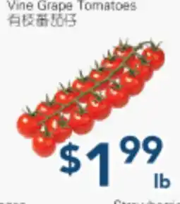 Oceans Fresh Food Market Vine Grape Tomatoes offer