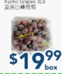 Oceans Fresh Food Market Kyoho Grapes 3Lb offer