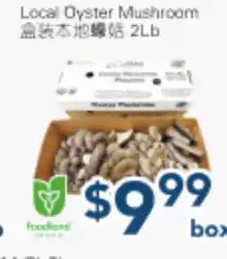 Oceans Fresh Food Market Local Oyster Mushroom offer