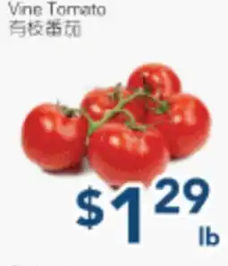 Oceans Fresh Food Market Vine Tomato offer