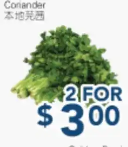 Oceans Fresh Food Market Coriander offer