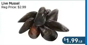 Blue Sky Supermarket Live Mussel offer
