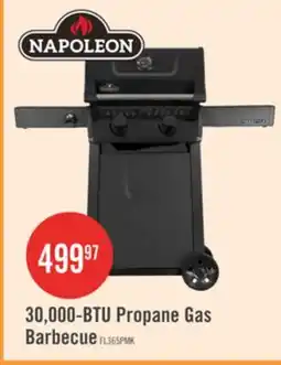 The Brick Napoleon 365 30,000-BTU 2-Burner Propane Gas Grill - FL365PMK-1 offer