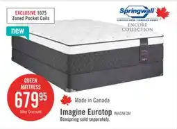 The Brick Springwall Encore Imagine Eurotop Plush Queen Mattress offer