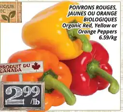 Supermarché PA POIVRONS ROUGES, JAUNES OU ORANGE BIOLOGIQUES | Organic Red, Yellow or Orange Peppers offer