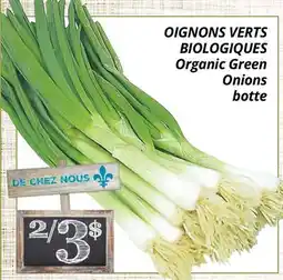 Supermarché PA OIGNONS VERTS BIOLOGIQUES | Organic Green Onions botte offer