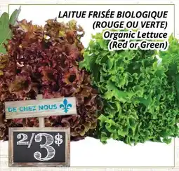 Supermarché PA LAITUE FRISÉE BIOLOGIQUE (ROUGE OU VERTE) | Organic Lettuce (Red or Green) offer