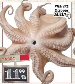 Supermarché PA PIEUVRE | Octopus offer
