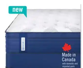 The Brick Sealy Posturepedic 1050 Series Minden Eurotop Medium Queen Mattress offer