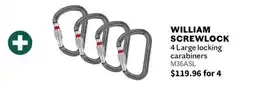 Sports Experts BLACK DIAMOND WILLIAM SCREWLOCK 4 Large locking carabiners offer