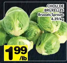 Supermarché PA CHOU DE BRUXELLES | Brussels Sprouts offer