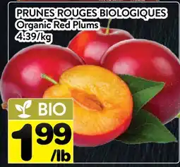 Supermarché PA PRUNES ROUGES BIOLOGIQUES | Organic Red Plums offer