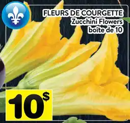 Supermarché PA FLEURS DE COURGETTE | Zucchini Flowers offer