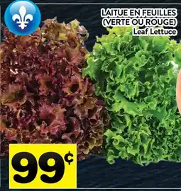 Supermarché PA LAITUE EN FEUILLES (VERTE OU ROUGE) | Leaf Lettuce offer