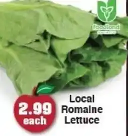 The Apple Market Local Romaine each Lettuce offer