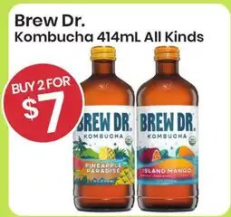 Healthy Planet Brew Dr. Kombucha offer