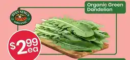 Healthy Planet Organic Green Dandelion offer