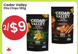 Healthy Planet Cedar Valley Pita Chips offer