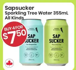 Healthy Planet Sapsucker Sparkling Tree Water 355mL All Kinds offer
