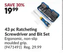 Princess Auto 43 pc Ratcheting Screwdriver and Bit Set offer