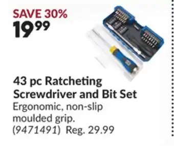 Princess Auto 43 pc Ratcheting Screwdriver and Bit Set offer