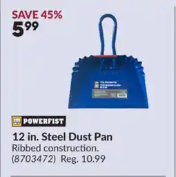 Princess Auto 12 in. Steel Dust Pan offer