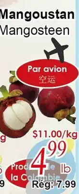 Marche C&T Mangoustan offer