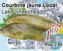 Marche C&T Local Lake Sheephead offer