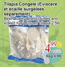 Marche C&T Tilapia Congelé (Eviscéré et écaille surgelées séparément) offer