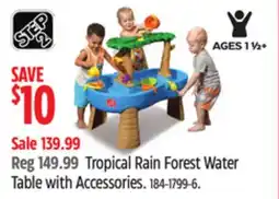 Canadian Tire Step 2 Tropical Rain Forest Water Table with Accessories offer