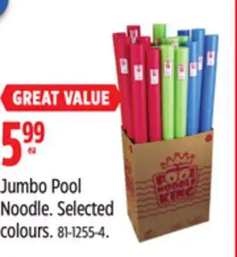 Canadian Tire Jumbo Pool Noodle offer