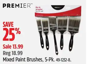 Canadian Tire Mixed Paint Brushes offer