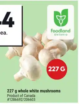 Giant Tiger 227 g whole white mushrooms offer